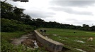 BADO Dalu